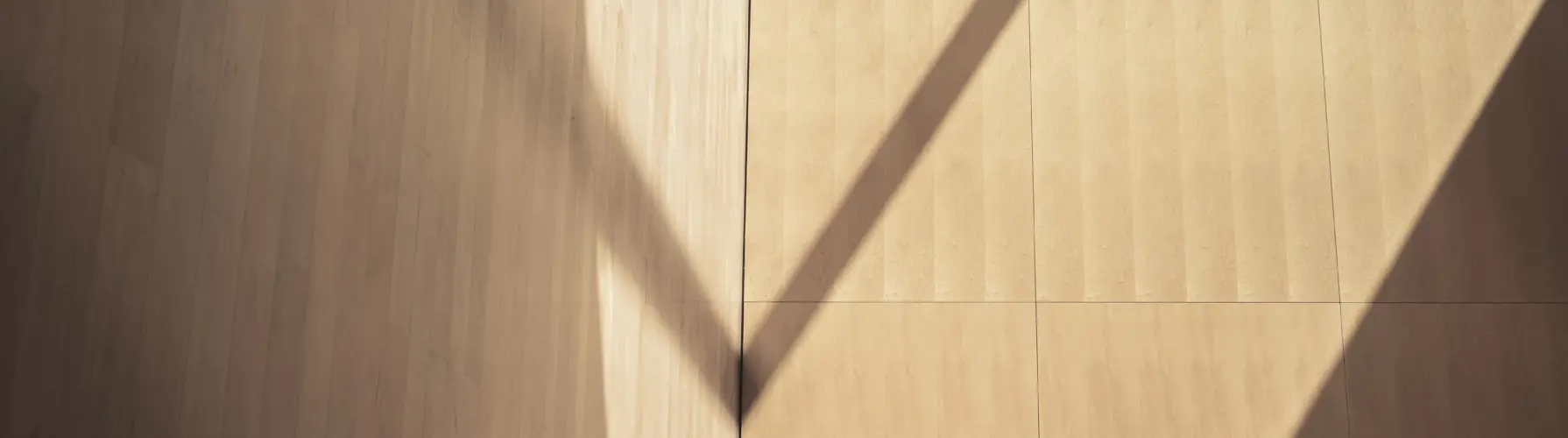 Licht-Schatten-Spiel Saal propter homines im Festspielhaus Bregenz © Büro Magma, Magdalena Türtscher